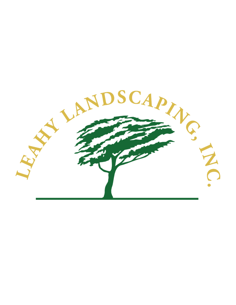 local massachusetts company logo